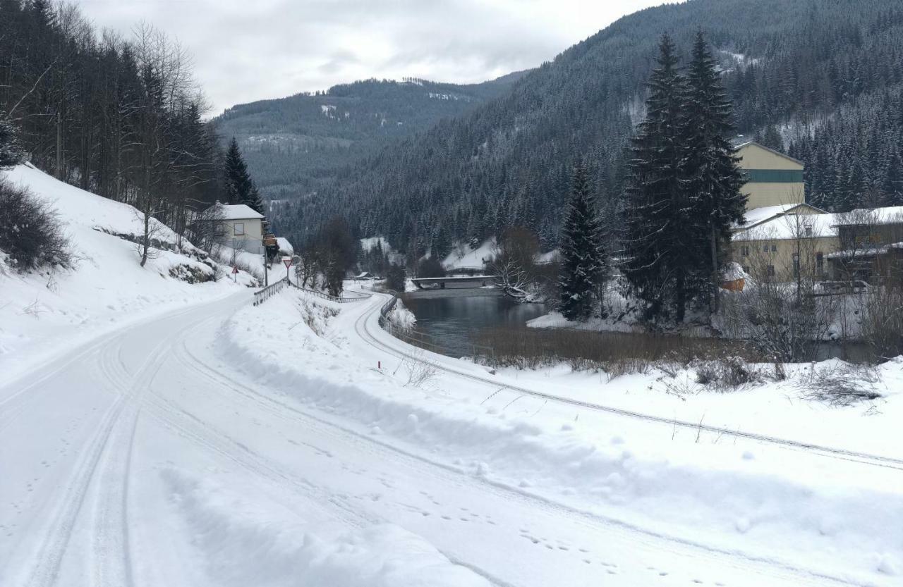 Ramingstein Riverside Ski Apartment מראה חיצוני תמונה